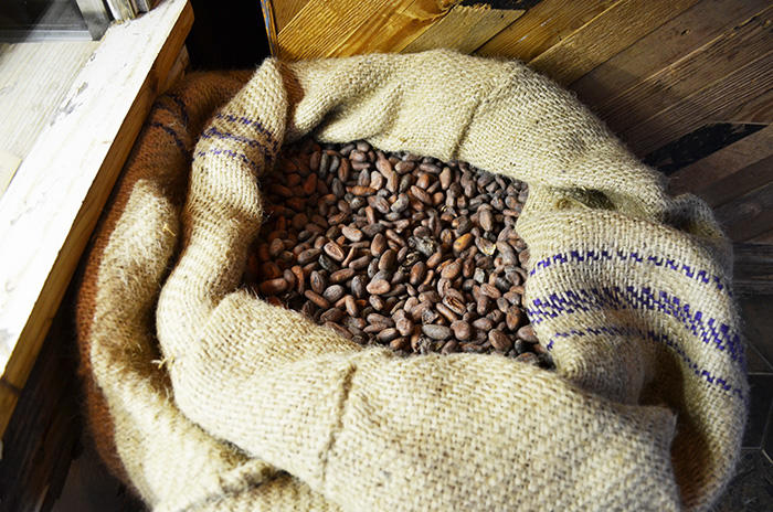 tutti-cacao-カカオ豆.jpg