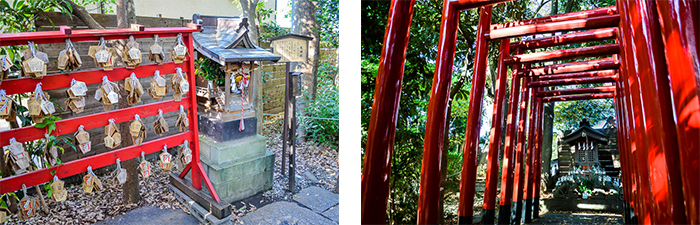 南鳩ケ谷氷川神社