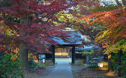 興禅院