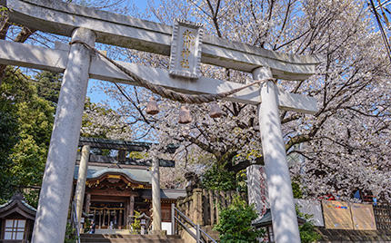 鳩ヶ谷氷川神社