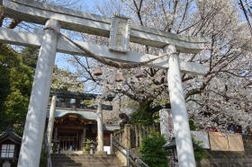 鳩ケ谷総鎮守 氷川神社