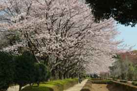 赤山城址