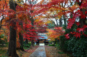 興禅院