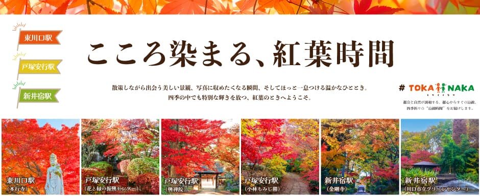 こころ染まる、紅葉時間