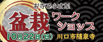 お寺で小さな盆栽ワークショップ