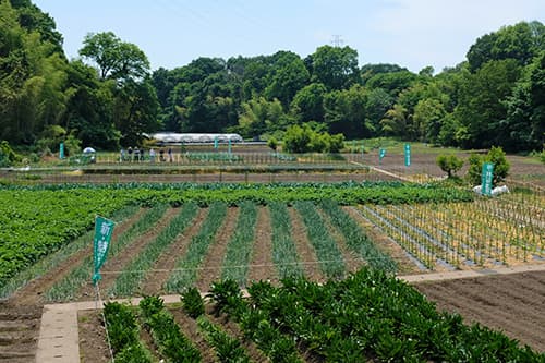 園芸センターヤマオカ