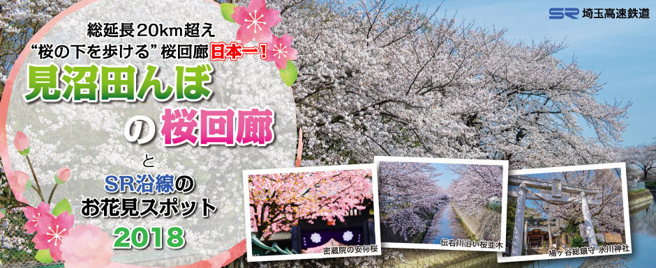 見沼たんぼの桜回廊とSR沿線の桜（メイン）