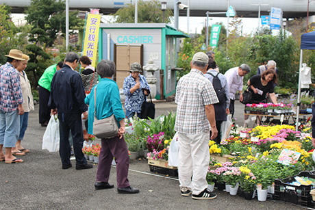 第84回秋の安行花植木まつり