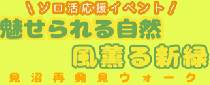 ソロ活応援イベント！魅せられる自然　風薫る新緑　見沼再発見ウォーク