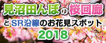 「見沼田んぼの桜回廊」とSR沿線のお花見スポット特集