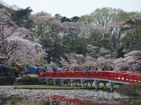 岩槻城址公園