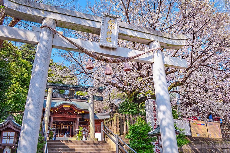 鳩ヶ谷氷川神社