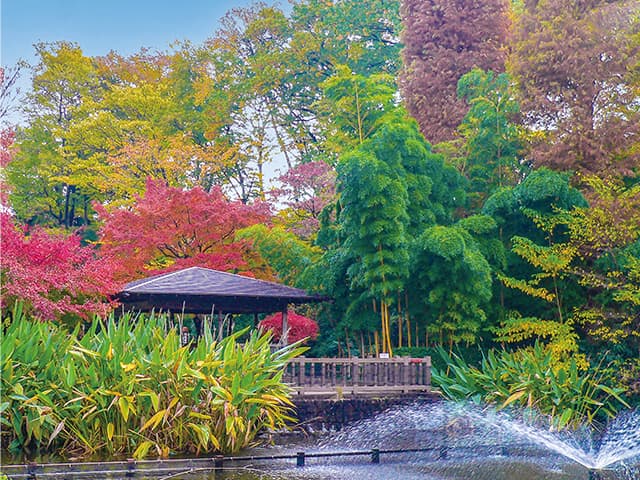 川口グリーンセンター