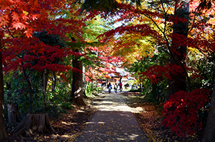 興禅院