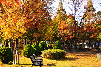 大崎公園