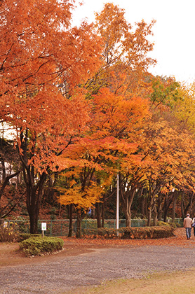 さぎ山記念公園