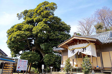 九重神社