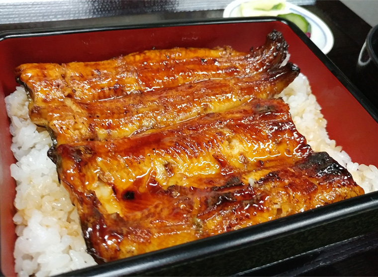 「うなぎ割烹湊屋」の鰻ランチ（イメージ）