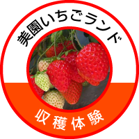 misono-ichigo-icon.png