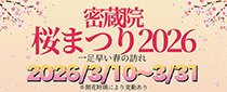 密蔵院 桜まつり 2026