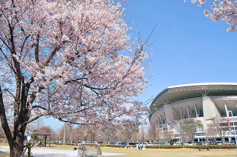 埼玉スタジアム2〇〇2