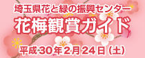 埼玉県花と緑の振興センター「花梅観賞ガイド」を開催