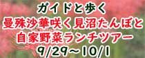 曼殊沙華咲く見沼たんぼと自家野菜ランチツアー