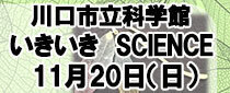 いきいきサイエンス ～大人のための科学ものづくり講座〜「葉脈標本のブックマーカー」