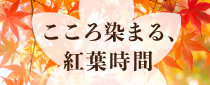 #TOKAiiNAKA ～ こころ染まる、紅葉時間