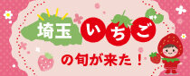 #TOKAiiNAKA 埼玉いちごの旬が来た！2026冬春