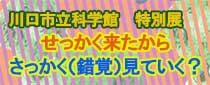 特別展「せっかく来たから