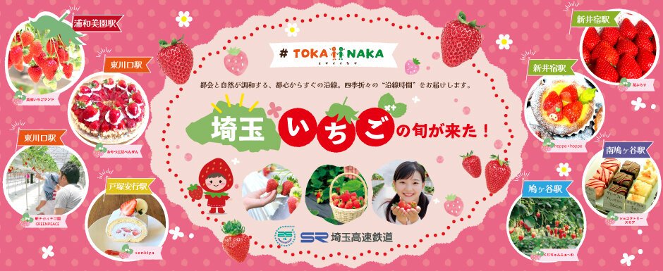 #TOKAiiNAKA 埼玉いちごの旬が来た！2026冬春